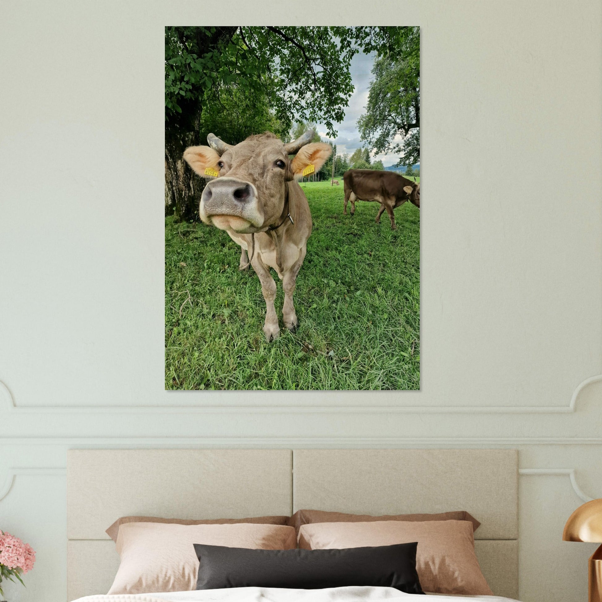 f6329e13-2404-4d73-b021-426db5cd97c1