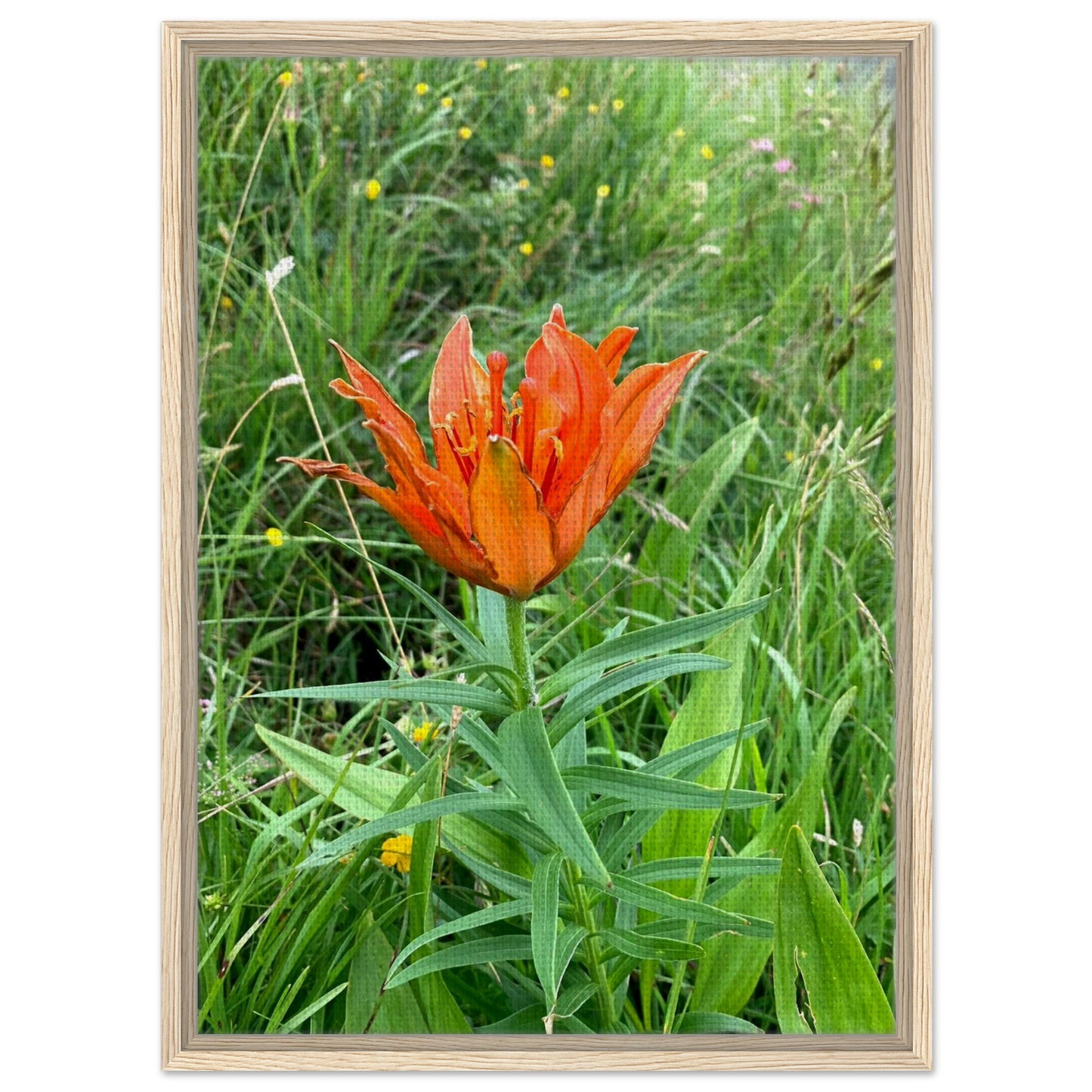 f684153d-56ac-40e5-8528-e2fb2604ea9f