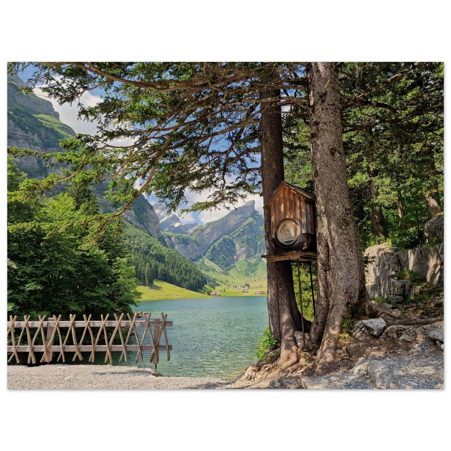 f6f5a383-d669-48e2-bd10-2b3035c7da25