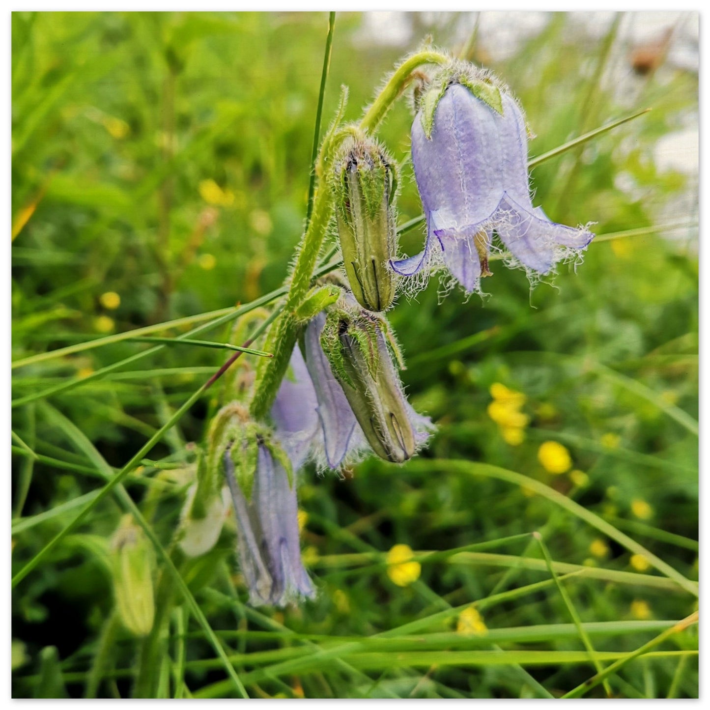 f89cfe9c-1c9d-4c0c-8546-ebc2308ff6b9