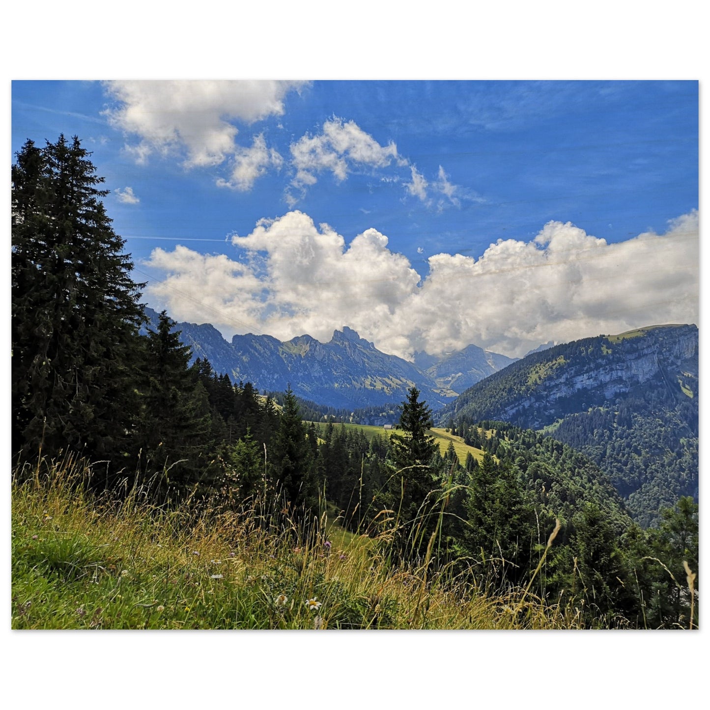 f941f3b1-22a3-4068-acb1-dd92770d5f3f