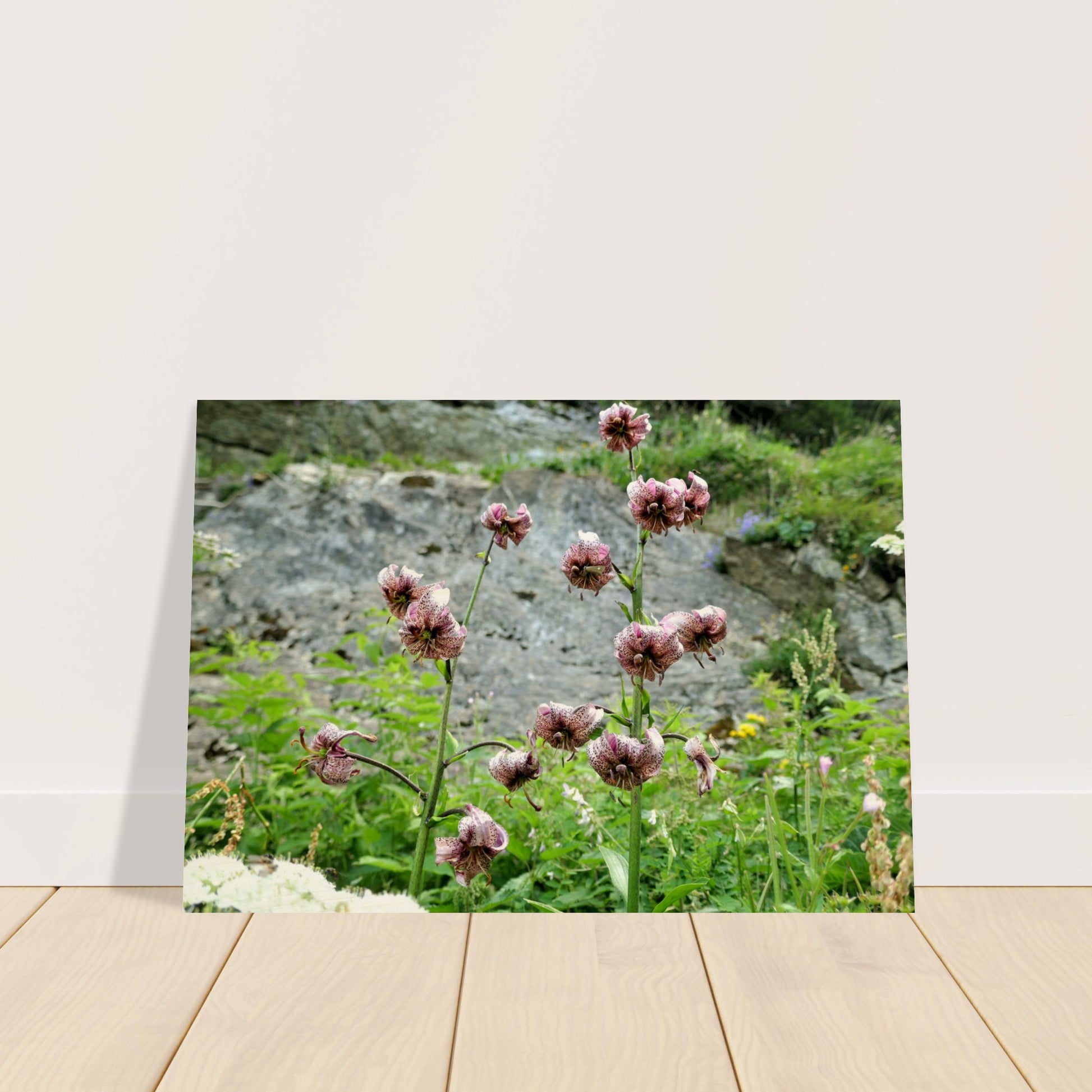 f9663cd2-6ae3-4eaa-ad5b-caf9a02a8cba