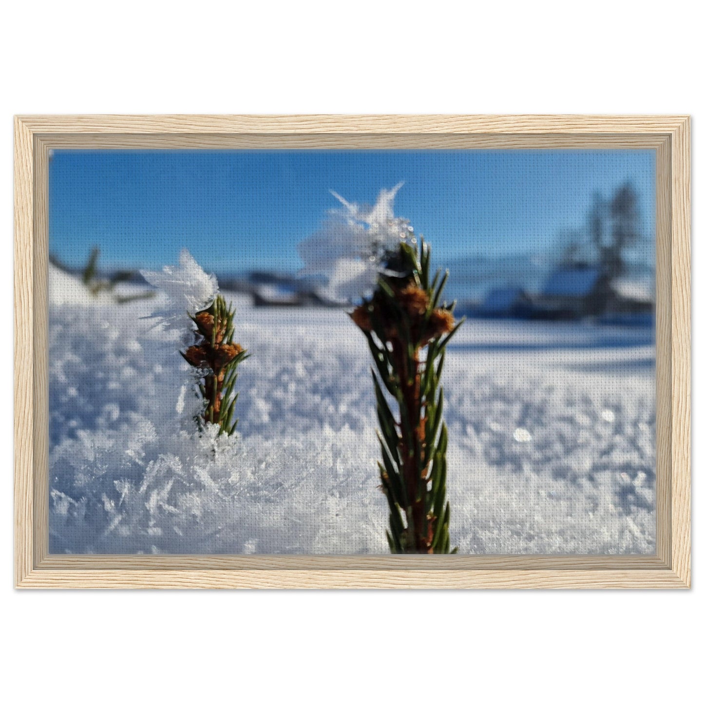 fa6a7b86-1113-4706-bc02-8c627476d5b6