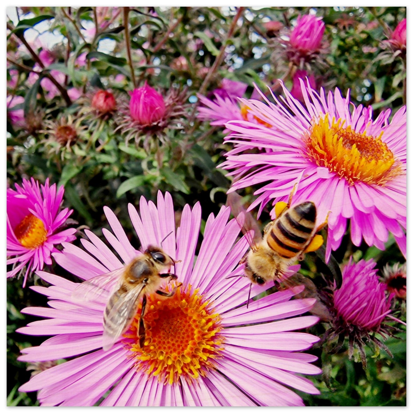 faf8949f-b4c7-4ab1-8bbc-1762ef8312fa