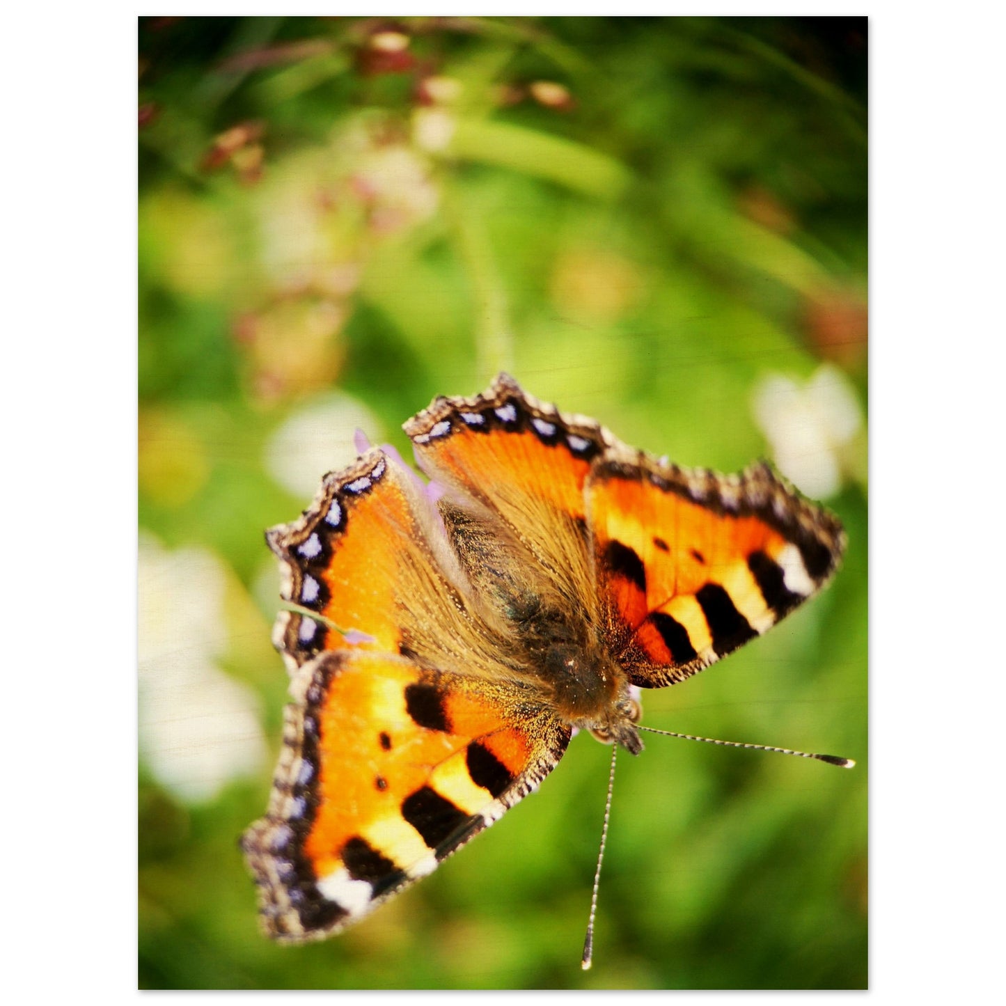 fbec89fe-c551-4436-ab30-bee6764e729a