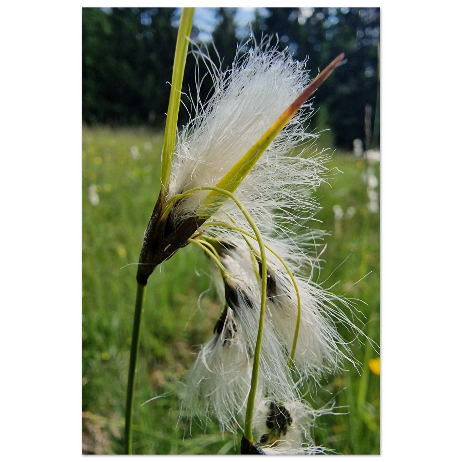 fc25391c-b33d-46e3-a5d1-006222793c5e