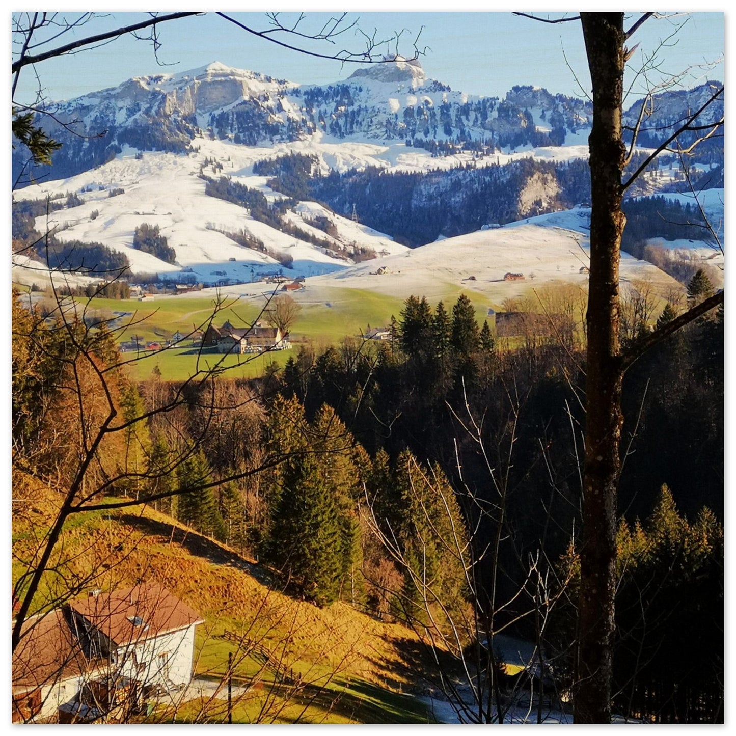 fd576168-b24e-4021-a76c-20d632877b56